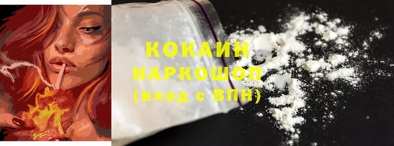 купить наркотик  Волгоград  гидра маркетплейс  Cocaine Эквадор 